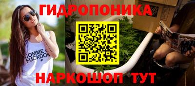 a pvp Берёзовский