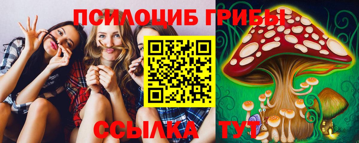 Галлюциногенные грибы прущие грибы  Вход с VPN  Кизляр  Галлюциногенные грибы мухоморы 